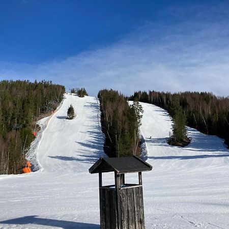 Rämsbyns fritidsby, 25 min till Romme Alpin Idkerberget Exteriör bild