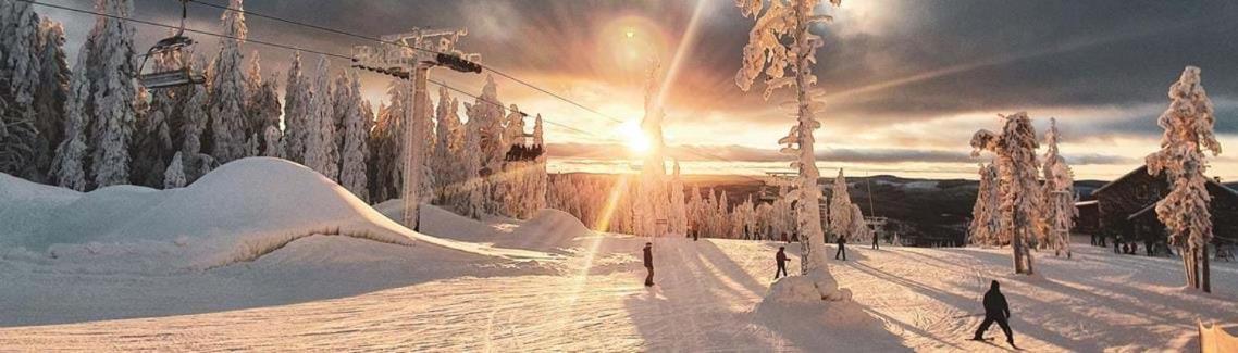 Rämsbyns fritidsby, 25 min till Romme Alpin Idkerberget Exteriör bild