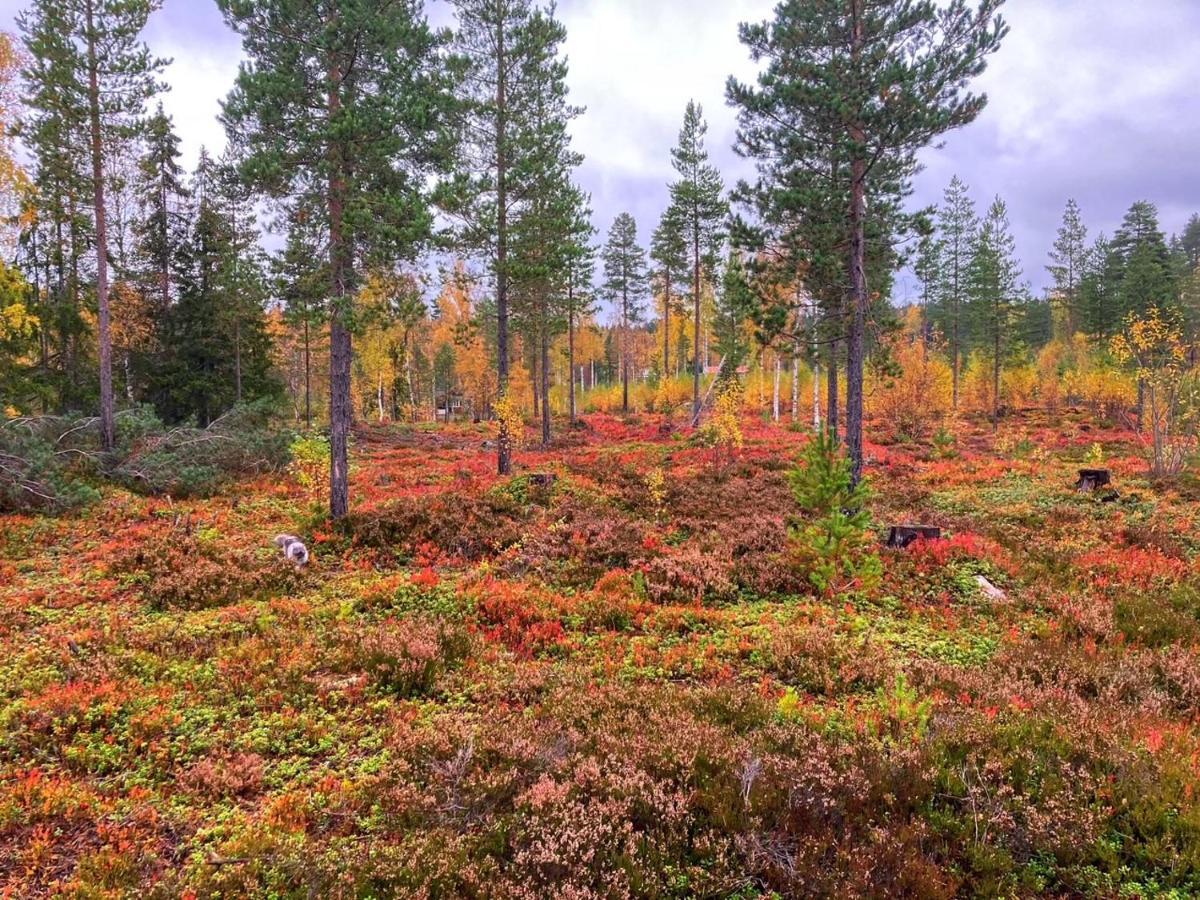 Rämsbyns fritidsby, 25 min till Romme Alpin Idkerberget Exteriör bild