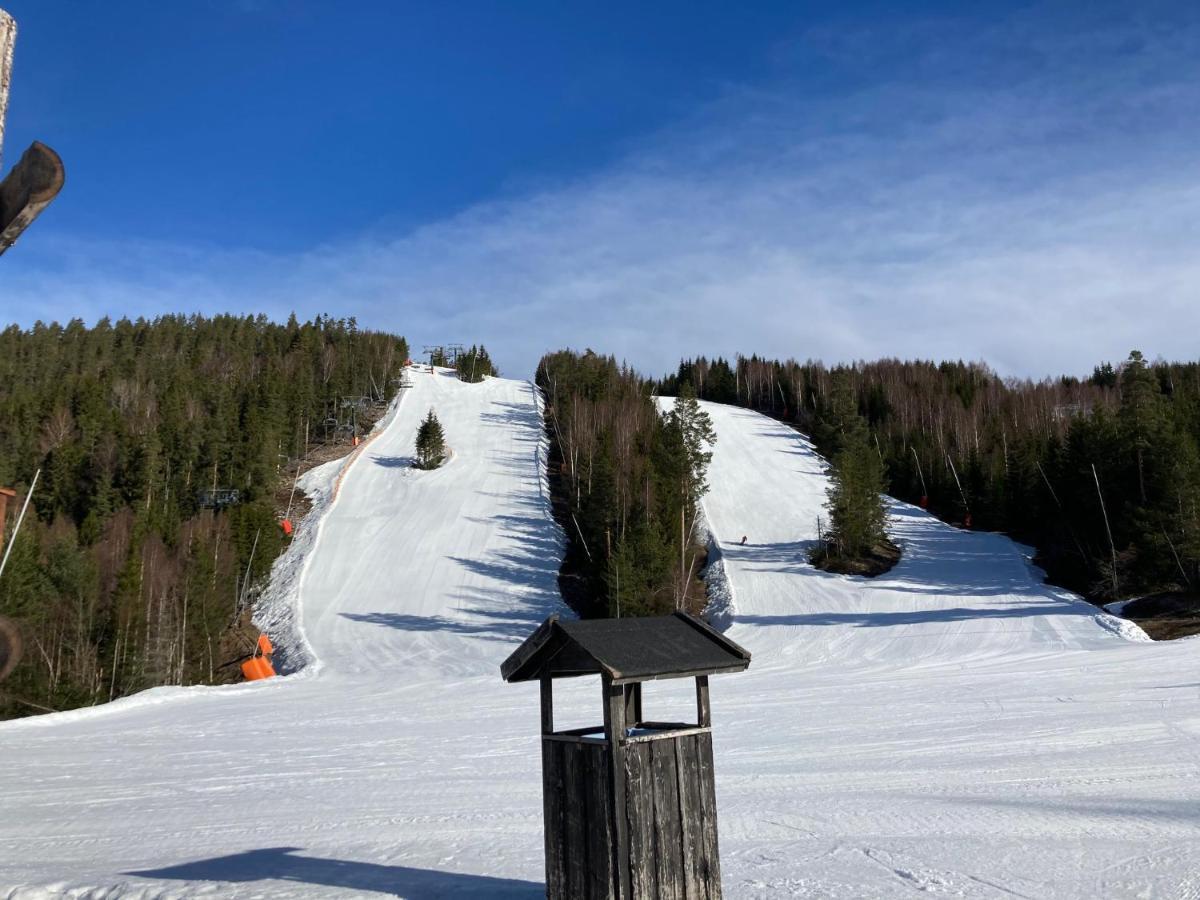 Rämsbyns fritidsby, 25 min till Romme Alpin Idkerberget Exteriör bild