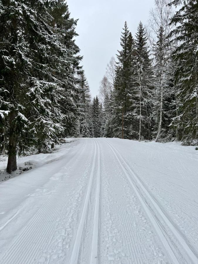 Rämsbyns fritidsby, 25 min till Romme Alpin Idkerberget Exteriör bild